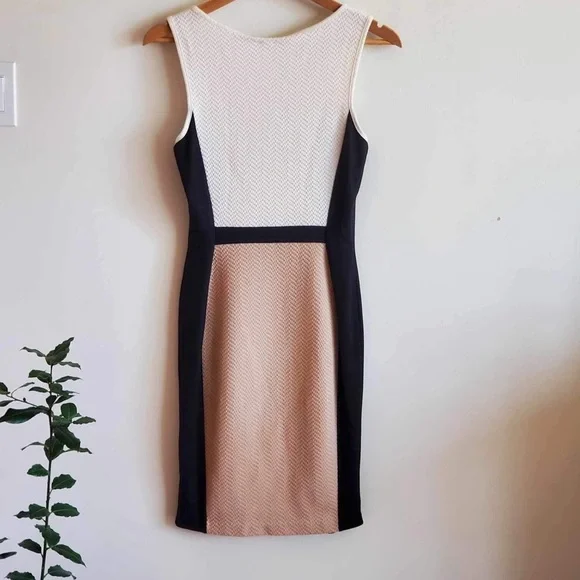 Anthropologie Weston Wear Color Block Sheath Dress - Picture 4 of 6